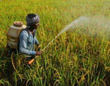 Insecticides