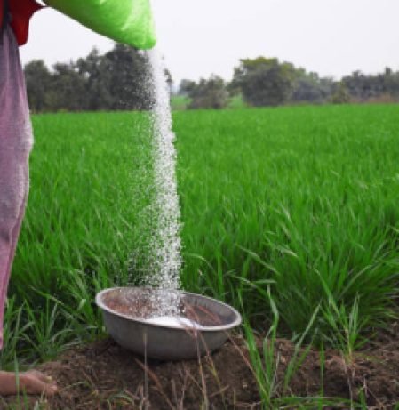 Fertilizers Fertilizers